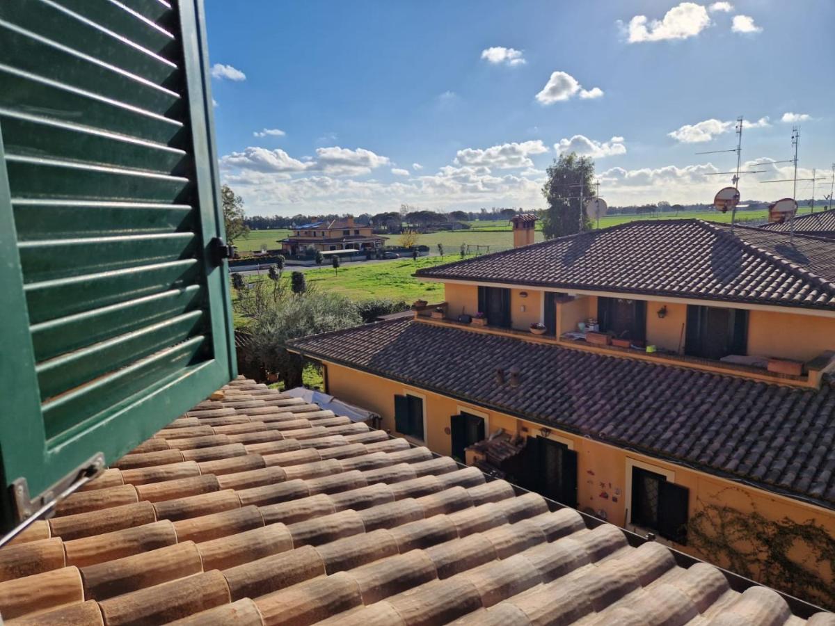 Casa Elsa Apartman Palidoro Kültér fotó